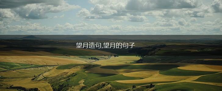 望月造句,望月的句子,第1张 望月造句,望月的句子,第1张