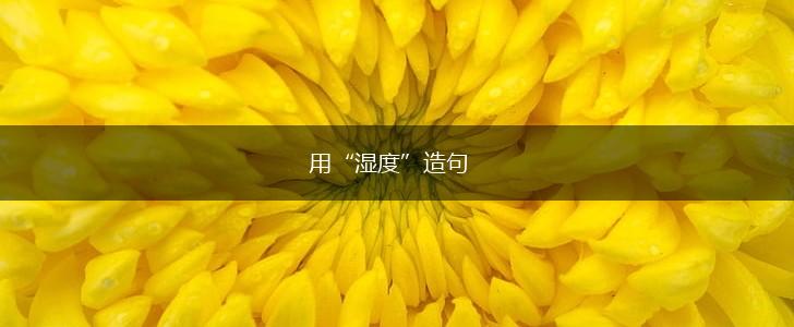 用“湿度”造句,第1张 用“湿度”造句,第1张