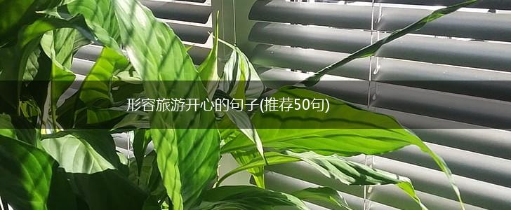 形容旅游开心的句子(推荐50句),第1张