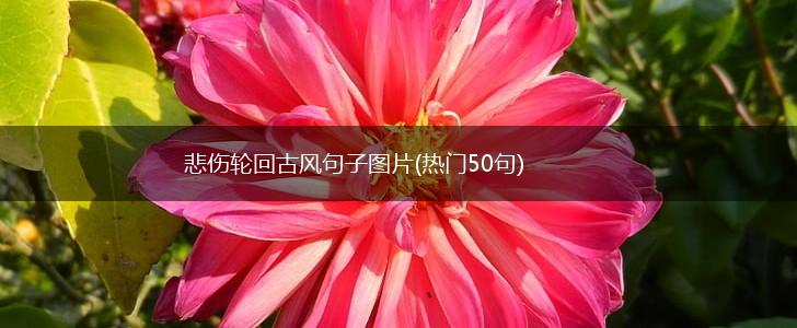 悲伤轮回古风句子图片(热门50句),第1张