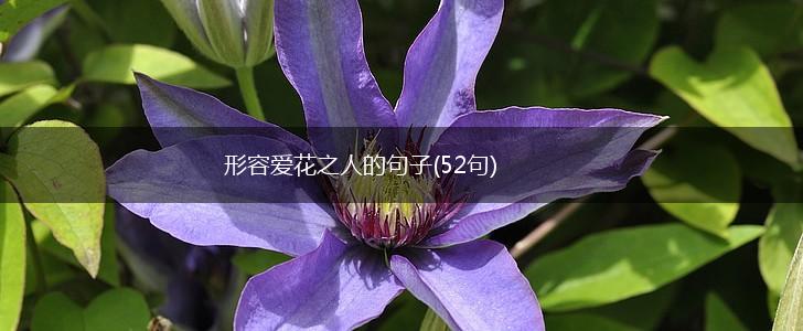 形容爱花之人的句子(52句),第1张