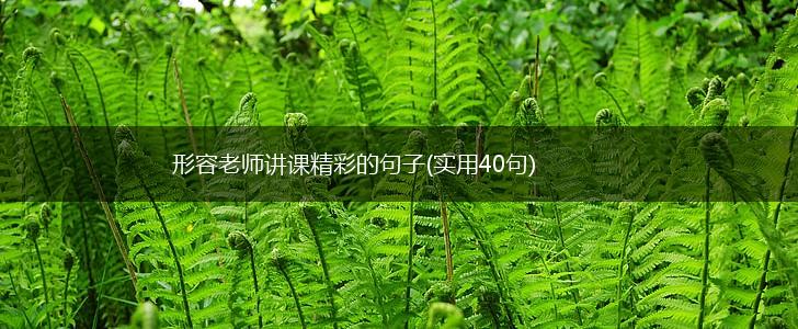 形容老师讲课精彩的句子(实用40句),第1张