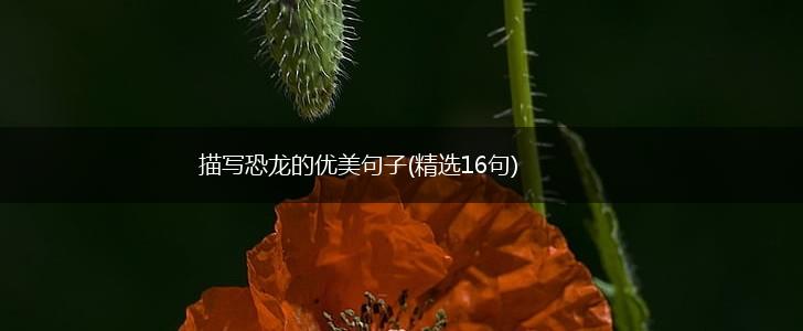 描写恐龙的优美句子(精选16句),第1张