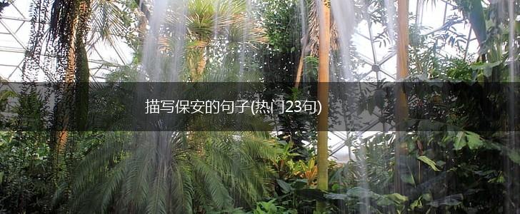 描写保安的句子(热门23句),第1张