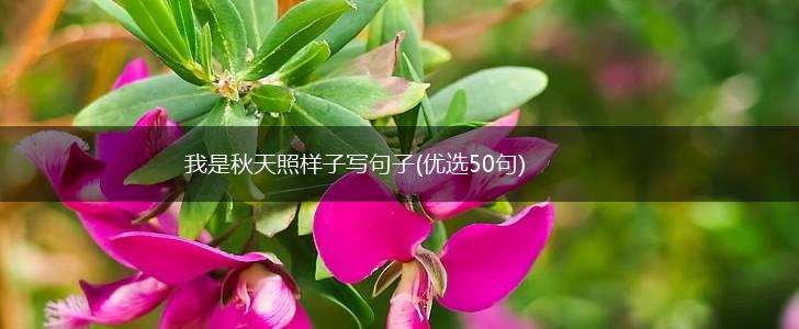 我是秋天照样子写句子(优选50句),第1张