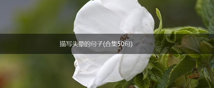 描写头晕的句子(合集50句),第1张