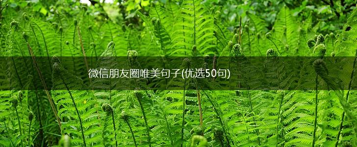 微信朋友圈唯美句子(优选50句),第1张