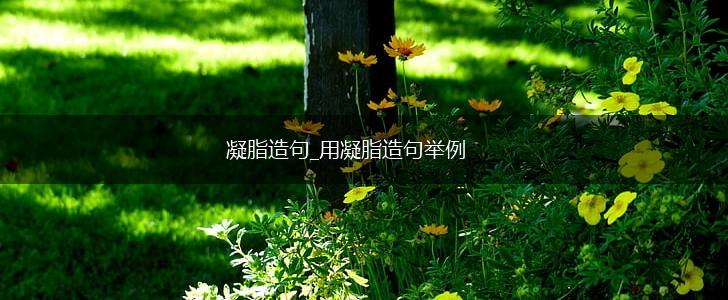 凝脂造句_用凝脂造句举例,第1张 凝脂造句_用凝脂造句举例,第1张