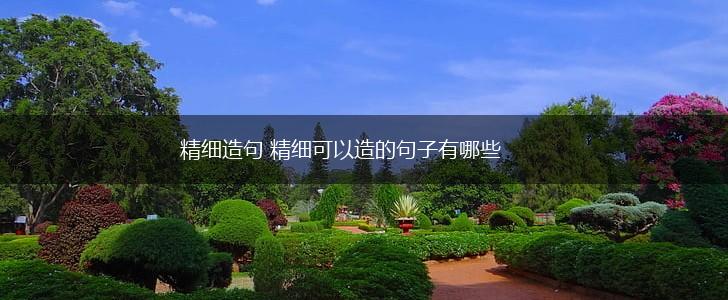 精细造句 精细可以造的句子有哪些,第1张