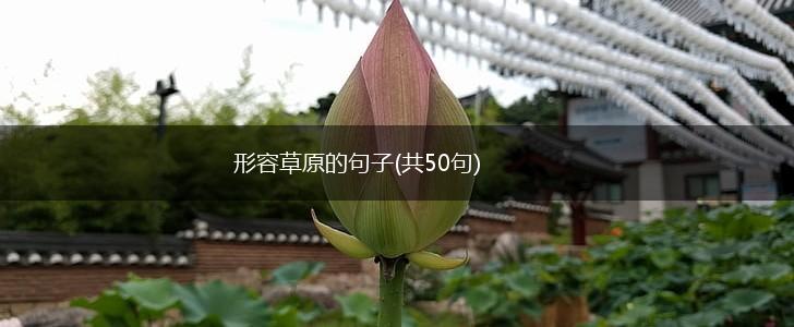 形容草原的句子(共50句),第1张