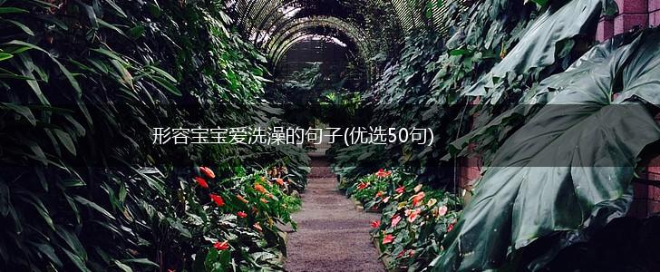 形容宝宝爱洗澡的句子(优选50句),第1张