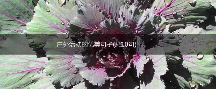 户外活动的优美句子(共10句),第1张