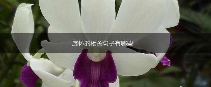 虚怀的相关句子有哪些,第1张