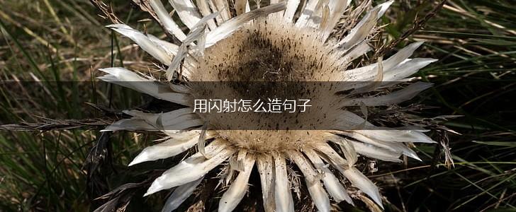 用闪射怎么造句子,第1张