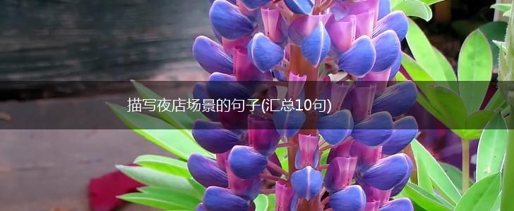 描写夜店场景的句子(汇总10句),第1张