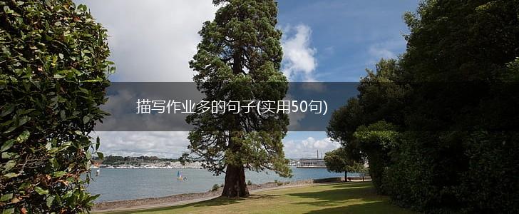 描写作业多的句子(实用50句),第1张
