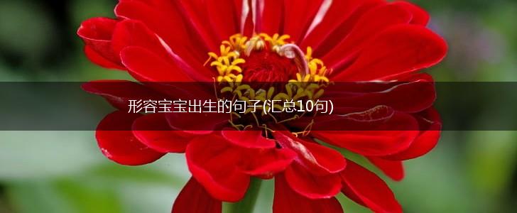 形容宝宝出生的句子(汇总10句),第1张