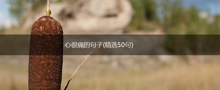 心很痛的句子(精选50句),第1张