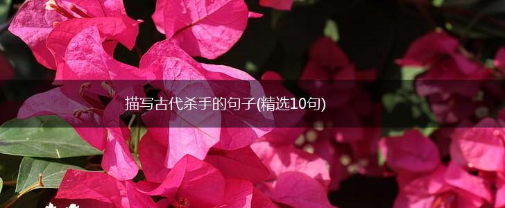 描写古代杀手的句子(精选10句),第1张