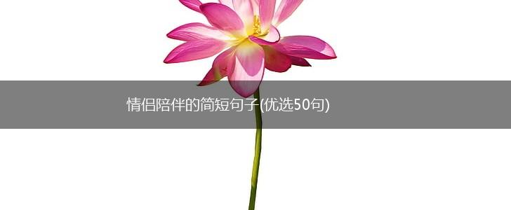 情侣陪伴的简短句子(优选50句),第1张