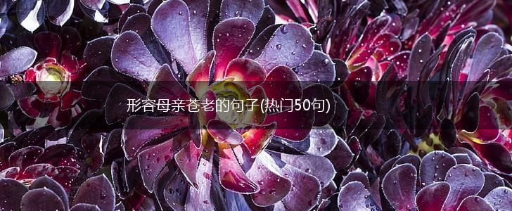 形容母亲苍老的句子(热门50句),第1张