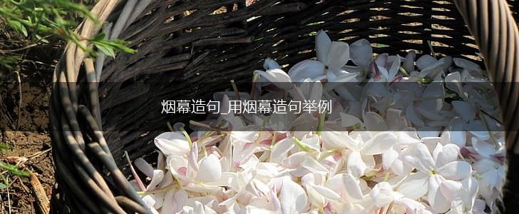 烟幕造句_用烟幕造句举例,第1张 烟幕造句_用烟幕造句举例,第1张