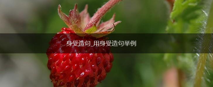 身受造句_用身受造句举例,第1张 身受造句_用身受造句举例,第1张