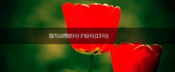 描写动物的句子短句(15句),第1张