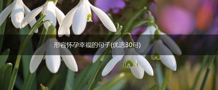形容怀孕幸福的句子(优选30句),第1张