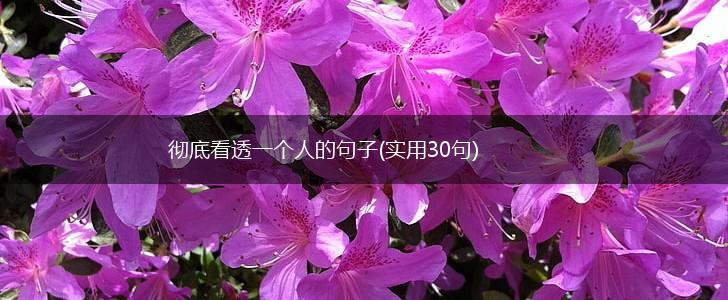 彻底看透一个人的句子(实用30句),第1张