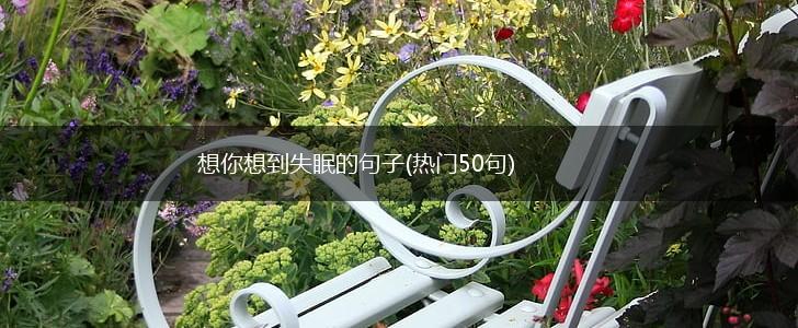 想你想到失眠的句子(热门50句),第1张