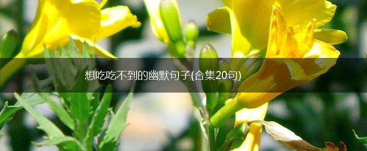想吃吃不到的幽默句子(合集20句),第1张