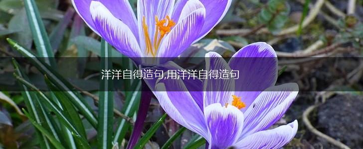 洋洋自得造句,用洋洋自得造句,第1张 洋洋自得造句,用洋洋自得造句,第1张