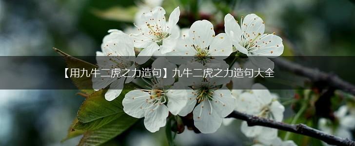 【用九牛二虎之力造句】九牛二虎之力造句大全,第1张 【用九牛二虎之力造句】九牛二虎之力造句大全,第1张
