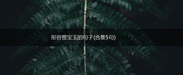 形容贾宝玉的句子(合集5句),第1张