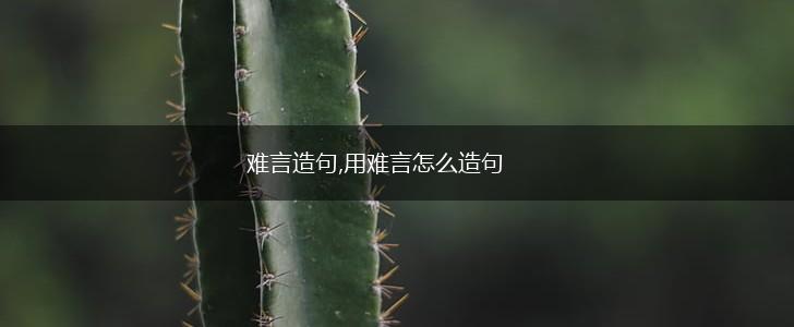 难言造句,用难言怎么造句,第1张 难言造句,用难言怎么造句,第1张