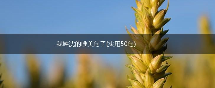 我姓沈的唯美句子(实用50句),第1张