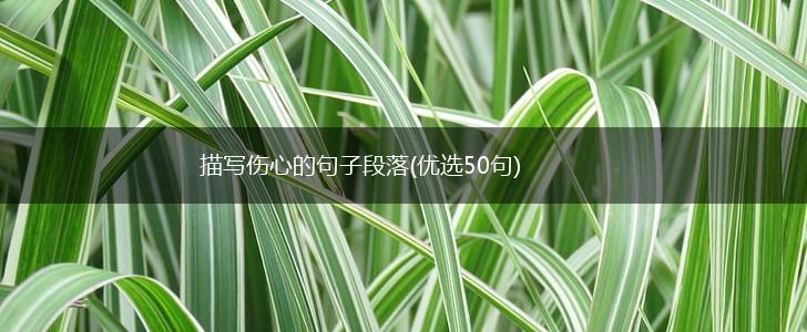 描写伤心的句子段落(优选50句),第1张