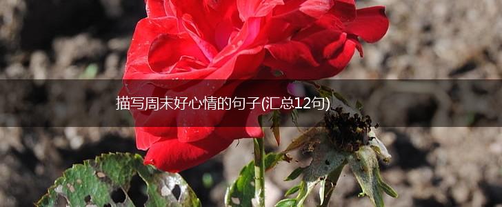 描写周末好心情的句子(汇总12句),第1张
