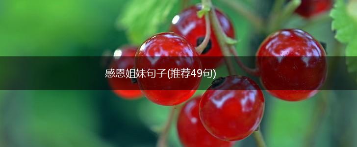 感恩姐妹句子(推荐49句),第1张