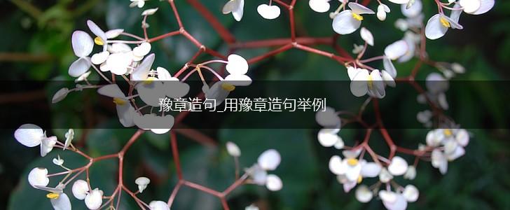豫章造句_用豫章造句举例,第1张 豫章造句_用豫章造句举例,第1张
