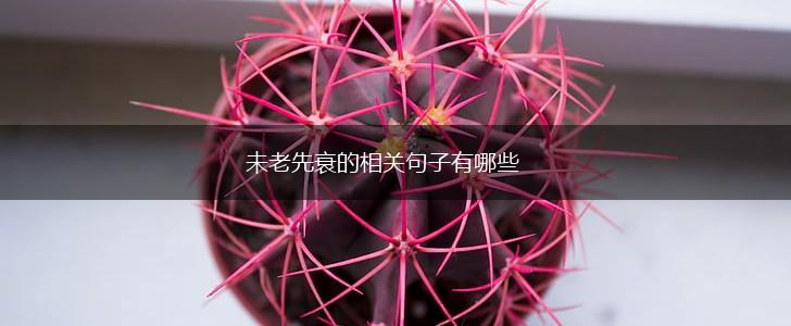 未老先衰的相关句子有哪些,第1张 未老先衰的相关句子有哪些,第1张