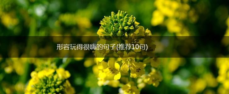 形容玩得很嗨的句子(推荐10句),第1张