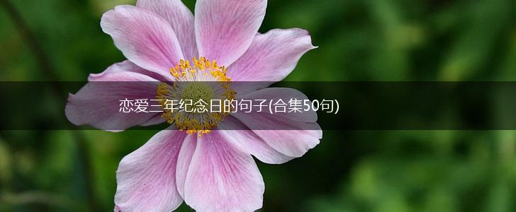 恋爱三年纪念日的句子(合集50句),第1张
