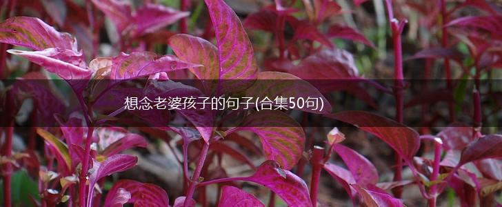 想念老婆孩子的句子(合集50句),第1张