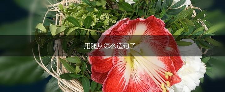 用随从怎么造句子,第1张 用随从怎么造句子,第1张