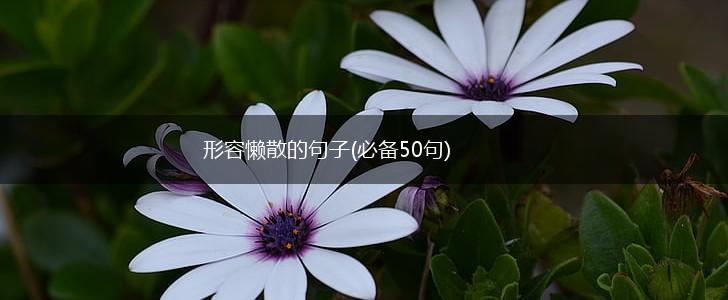 形容懒散的句子(必备50句),第1张