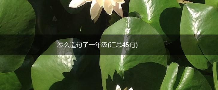 怎么造句子一年级(汇总45句),第1张