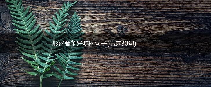 形容薯条好吃的句子(优选30句),第1张