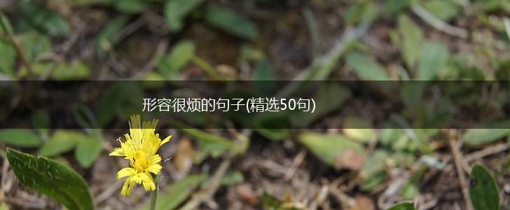 形容很烦的句子(精选50句),第1张